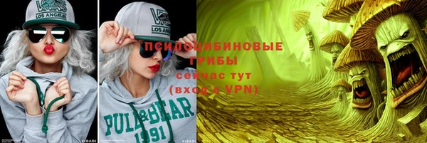 гашик Верхнеуральск