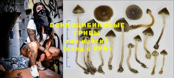 спиды Протвино