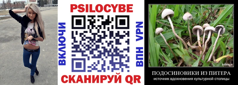 Псилоцибиновые грибы Psilocybe  купить  сайты  OMG ссылки  Гаврилов-Ям 